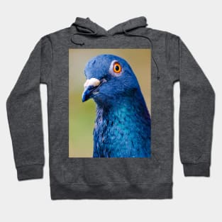 Portrait of a Happy Pigeon Photograph Hoodie